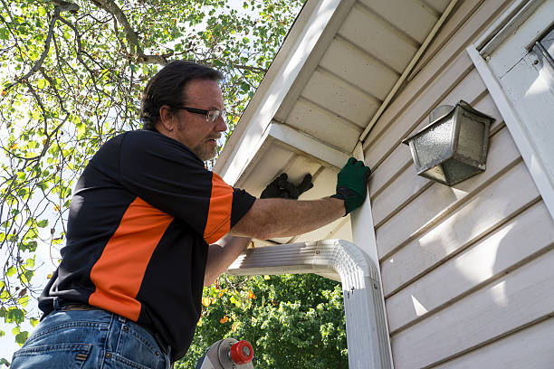 Best Siding Removal and Disposal  in Bell Nyon, CA